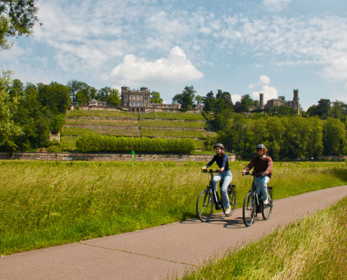 Radtour entlang der Elbe in Dresden